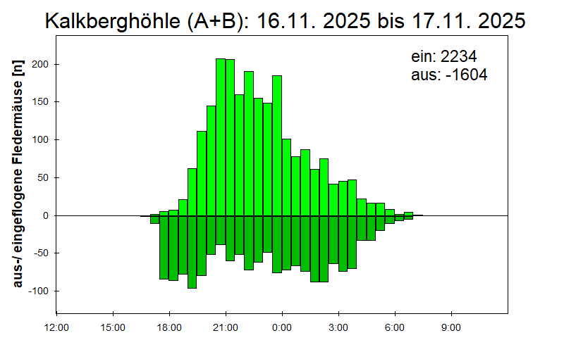 [Fledermaus] Lichtschranke: Segeberger Kalkberg (NABU Schleswig-Holstein)