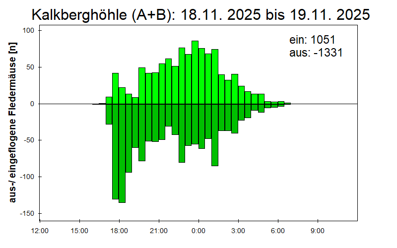 [Fledermaus] Lichtschranke: Segeberger Kalkberg (NABU Schleswig-Holstein)