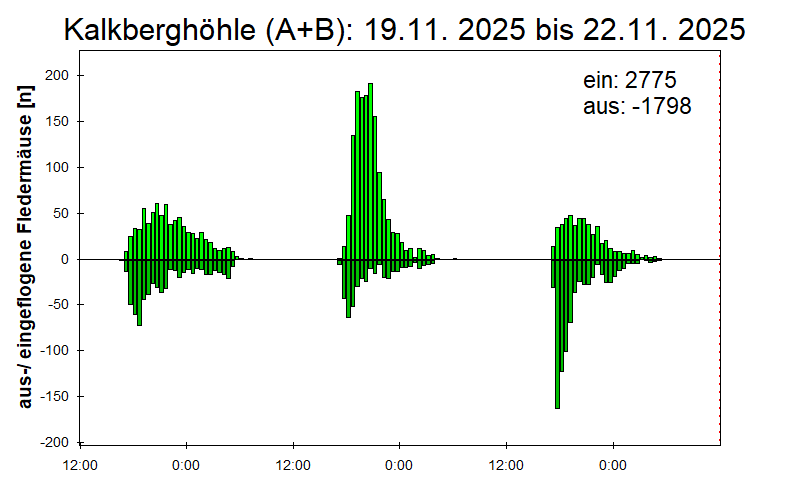 [Fledermaus] Lichtschranke: Segeberger Kalkberg (NABU Schleswig-Holstein)