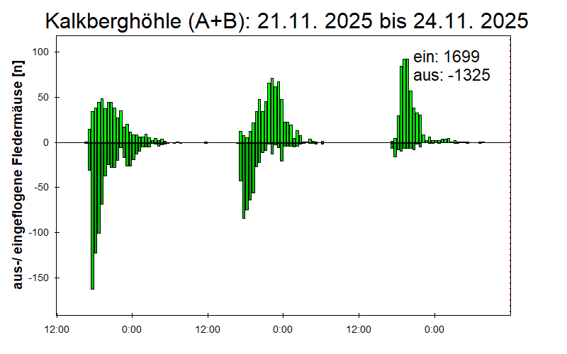 [Fledermaus] Lichtschranke: Segeberger Kalkberg (NABU Schleswig-Holstein)