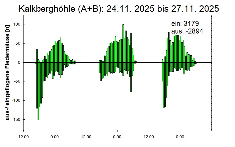 [Fledermaus] Lichtschranke: Segeberger Kalkberg (NABU Schleswig-Holstein)