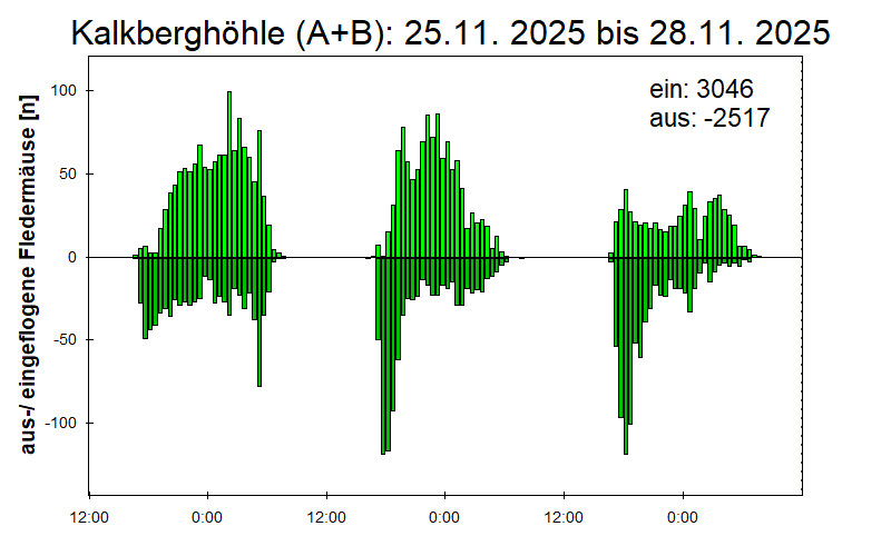 [Fledermaus] Lichtschranke: Segeberger Kalkberg (NABU Schleswig-Holstein)