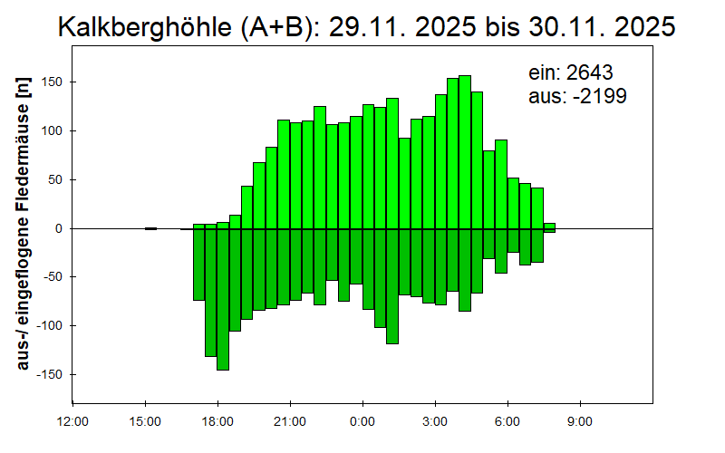 [Fledermaus] Lichtschranke: Segeberger Kalkberg (NABU Schleswig-Holstein)