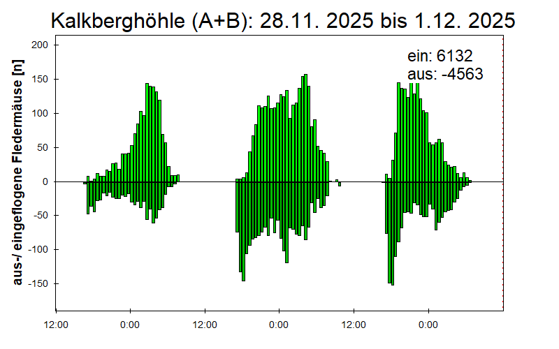 [Fledermaus] Lichtschranke: Segeberger Kalkberg (NABU Schleswig-Holstein)
