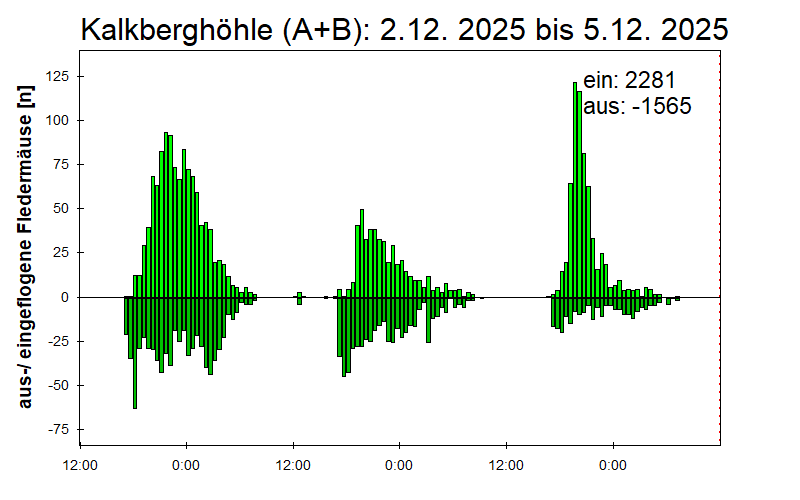 [Fledermaus] Lichtschranke: Segeberger Kalkberg (NABU Schleswig-Holstein)