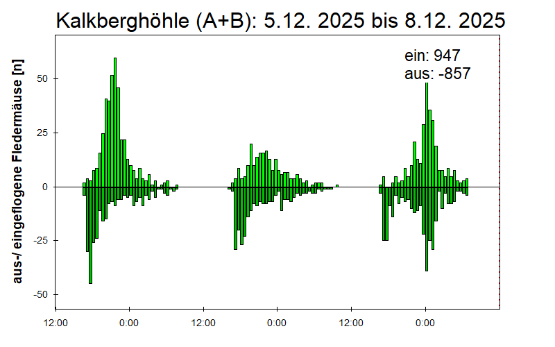 [Fledermaus] Lichtschranke: Segeberger Kalkberg (NABU Schleswig-Holstein)
