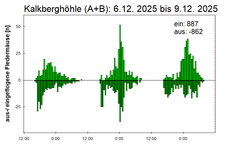 [Fledermaus] Lichtschranke: Segeberger Kalkberg (NABU Schleswig-Holstein)