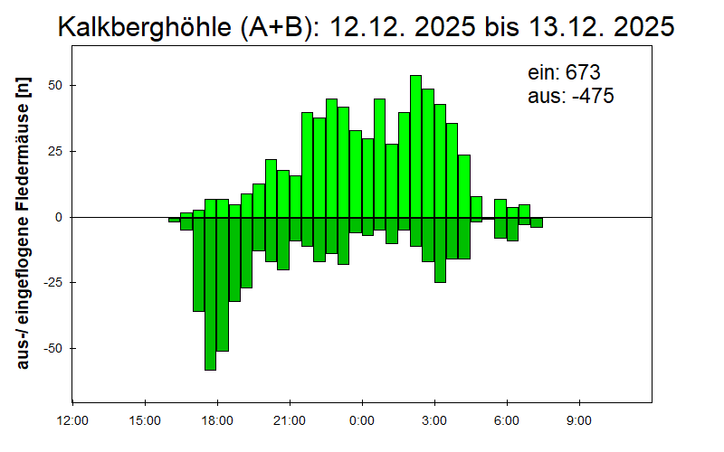 [Fledermaus] Lichtschranke: Segeberger Kalkberg (NABU Schleswig-Holstein)