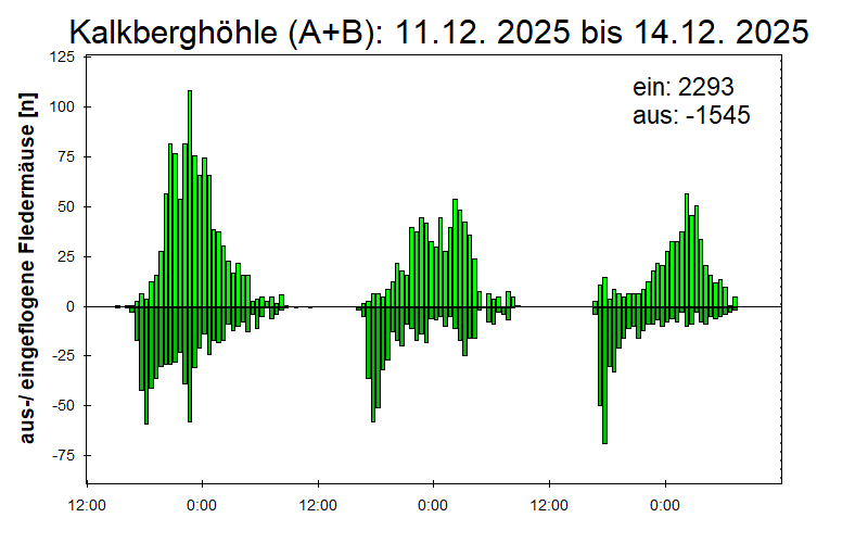 [Fledermaus] Lichtschranke: Segeberger Kalkberg (NABU Schleswig-Holstein)