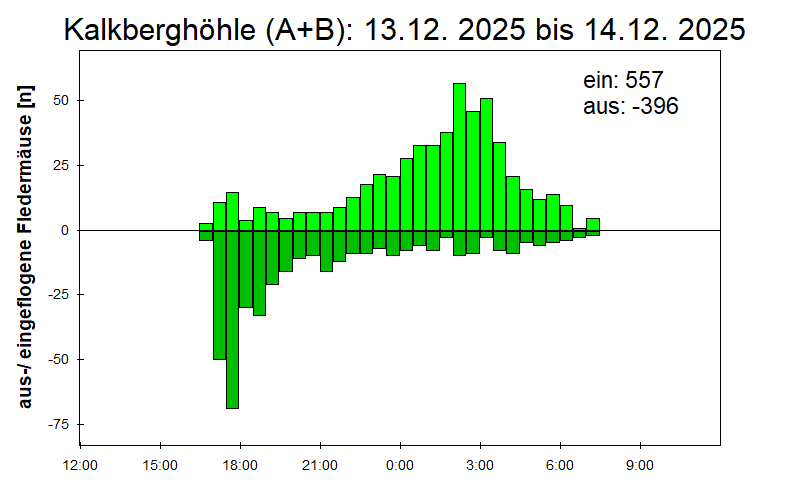 [Fledermaus] Lichtschranke: Segeberger Kalkberg (NABU Schleswig-Holstein)