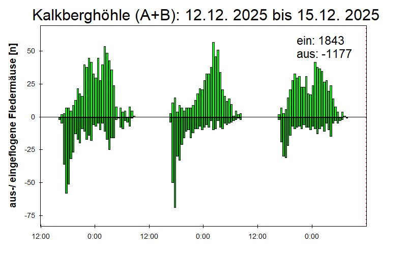 [Fledermaus] Lichtschranke: Segeberger Kalkberg (NABU Schleswig-Holstein)