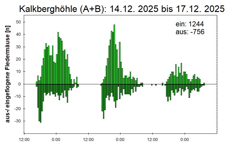 [Fledermaus] Lichtschranke: Segeberger Kalkberg (NABU Schleswig-Holstein)