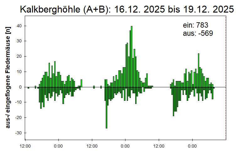 [Fledermaus] Lichtschranke: Segeberger Kalkberg (NABU Schleswig-Holstein)