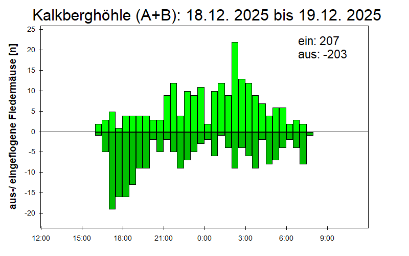 [Fledermaus] Lichtschranke: Segeberger Kalkberg (NABU Schleswig-Holstein)