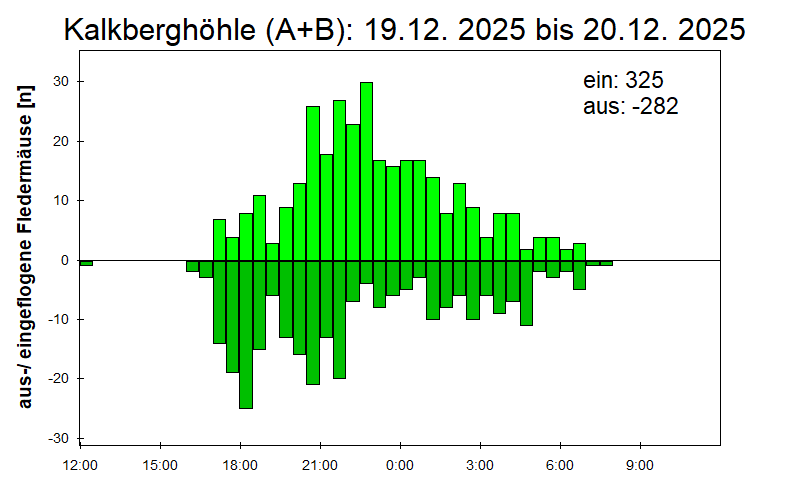 [Fledermaus] Lichtschranke: Segeberger Kalkberg (NABU Schleswig-Holstein)