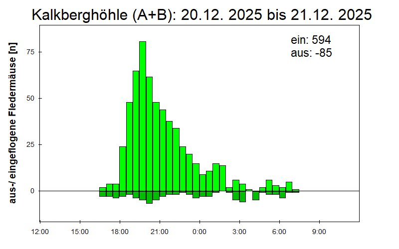 [Fledermaus] Lichtschranke: Segeberger Kalkberg (NABU Schleswig-Holstein)