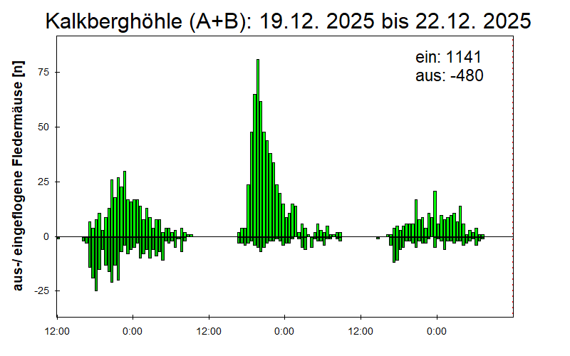 [Fledermaus] Lichtschranke: Segeberger Kalkberg (NABU Schleswig-Holstein)