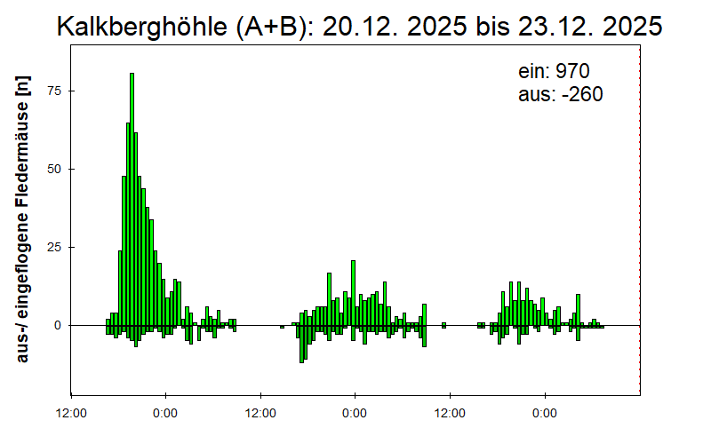 [Fledermaus] Lichtschranke: Segeberger Kalkberg (NABU Schleswig-Holstein)
