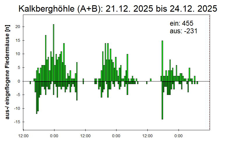 [Fledermaus] Lichtschranke: Segeberger Kalkberg (NABU Schleswig-Holstein)