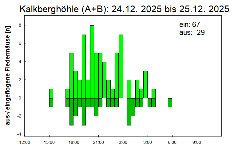 [Fledermaus] Lichtschranke: Segeberger Kalkberg (NABU Schleswig-Holstein)