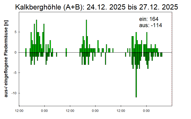 [Fledermaus] Lichtschranke: Segeberger Kalkberg (NABU Schleswig-Holstein)