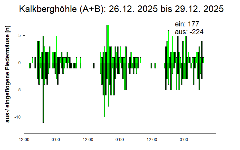 [Fledermaus] Lichtschranke: Segeberger Kalkberg (NABU Schleswig-Holstein)