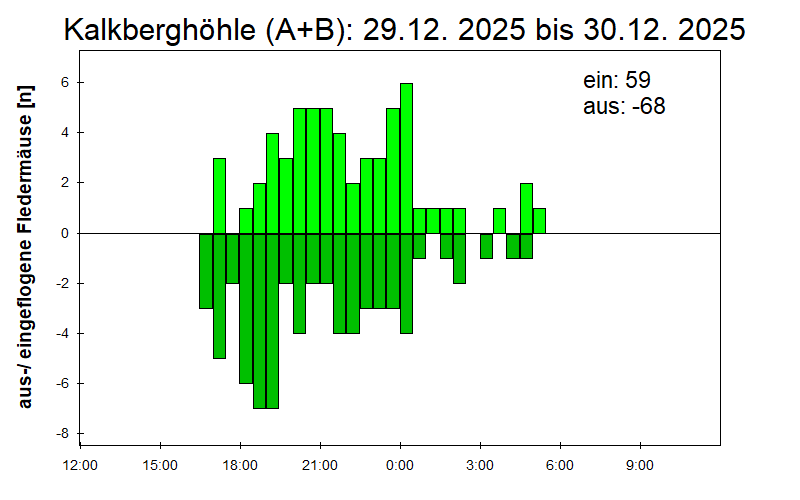[Fledermaus] Lichtschranke: Segeberger Kalkberg (NABU Schleswig-Holstein)