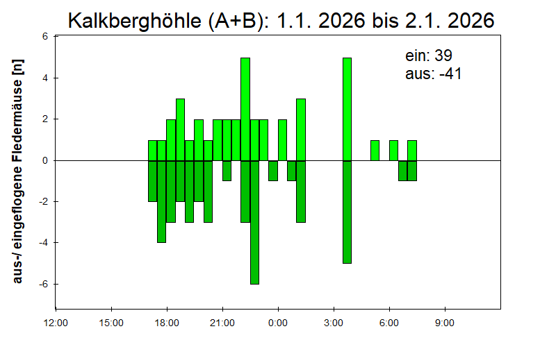 [Fledermaus] Lichtschranke: Segeberger Kalkberg (NABU Schleswig-Holstein)