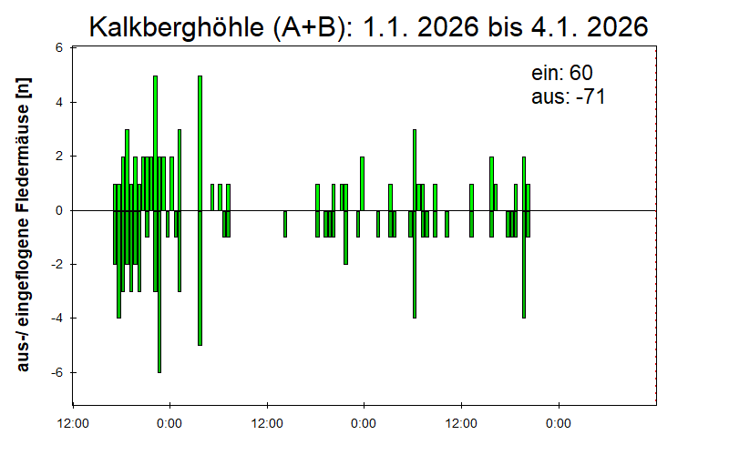 [Fledermaus] Lichtschranke: Segeberger Kalkberg (NABU Schleswig-Holstein)