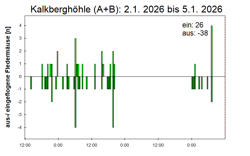[Fledermaus] Lichtschranke: Segeberger Kalkberg (NABU Schleswig-Holstein)