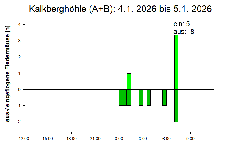 [Fledermaus] Lichtschranke: Segeberger Kalkberg (NABU Schleswig-Holstein)