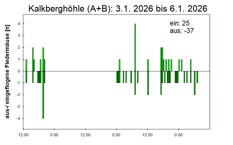 [Fledermaus] Lichtschranke: Segeberger Kalkberg (NABU Schleswig-Holstein)