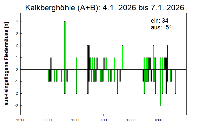 [Fledermaus] Lichtschranke: Segeberger Kalkberg (NABU Schleswig-Holstein)