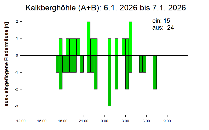 [Fledermaus] Lichtschranke: Segeberger Kalkberg (NABU Schleswig-Holstein)