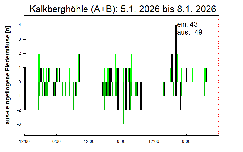 [Fledermaus] Lichtschranke: Segeberger Kalkberg (NABU Schleswig-Holstein)