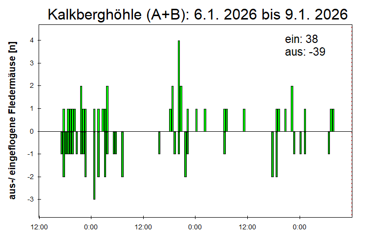[Fledermaus] Lichtschranke: Segeberger Kalkberg (NABU Schleswig-Holstein)