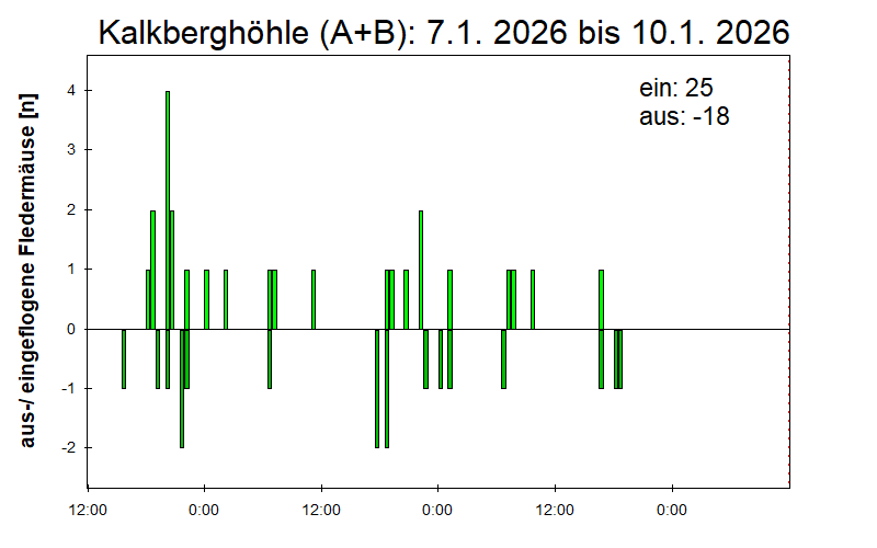[Fledermaus] Lichtschranke: Segeberger Kalkberg (NABU Schleswig-Holstein)