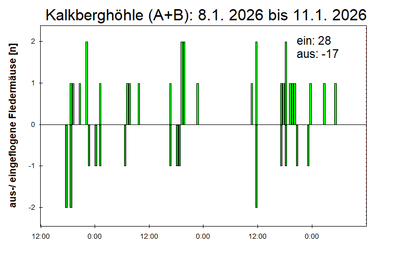 [Fledermaus] Lichtschranke: Segeberger Kalkberg (NABU Schleswig-Holstein)