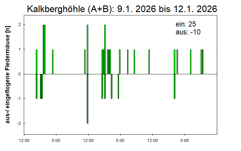 [Fledermaus] Lichtschranke: Segeberger Kalkberg (NABU Schleswig-Holstein)