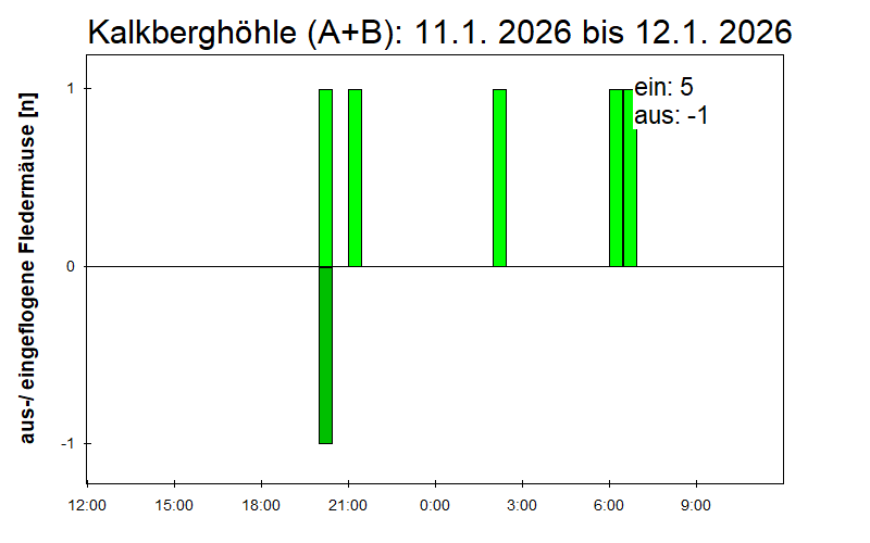 [Fledermaus] Lichtschranke: Segeberger Kalkberg (NABU Schleswig-Holstein)