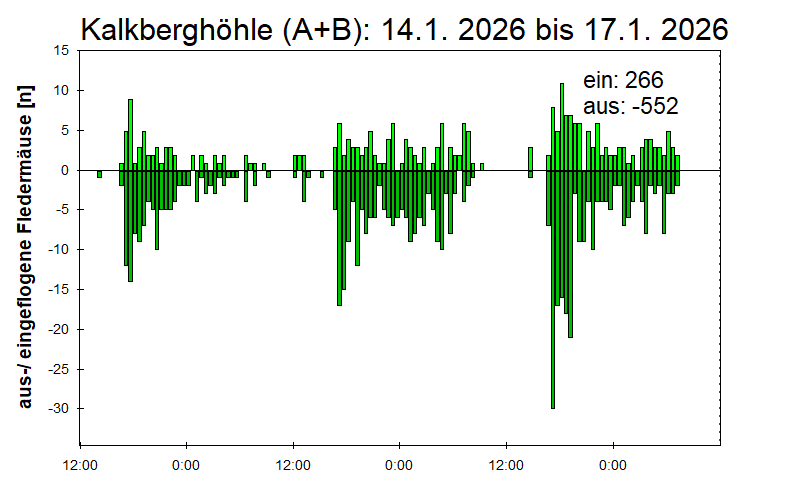 [Fledermaus] Lichtschranke: Segeberger Kalkberg (NABU Schleswig-Holstein)