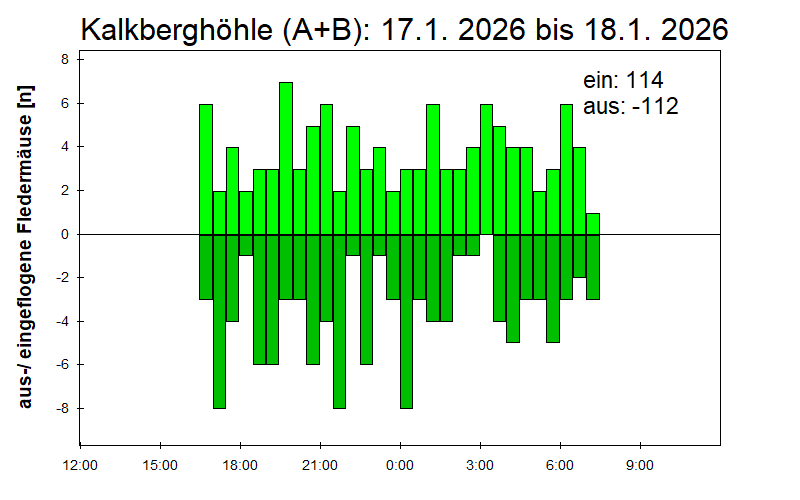 [Fledermaus] Lichtschranke: Segeberger Kalkberg (NABU Schleswig-Holstein)