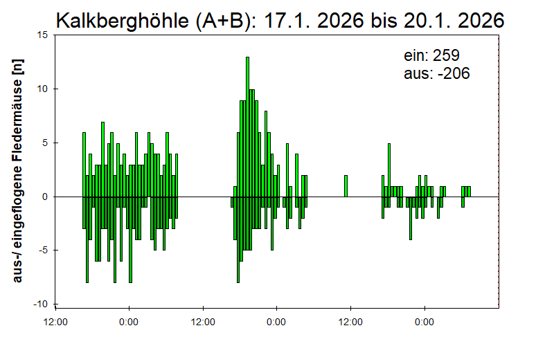 [Fledermaus] Lichtschranke: Segeberger Kalkberg (NABU Schleswig-Holstein)