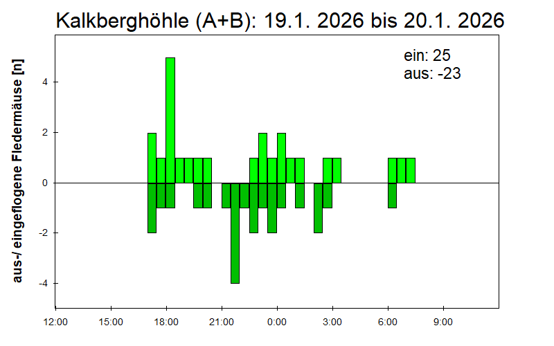 [Fledermaus] Lichtschranke: Segeberger Kalkberg (NABU Schleswig-Holstein)
