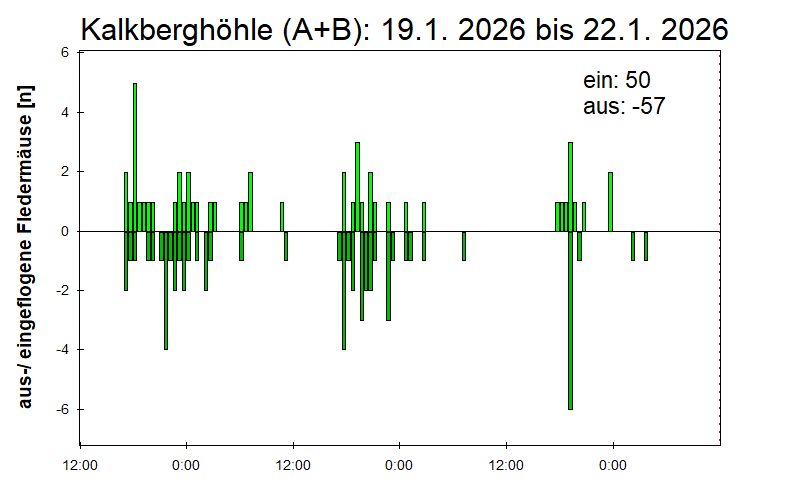 [Fledermaus] Lichtschranke: Segeberger Kalkberg (NABU Schleswig-Holstein)