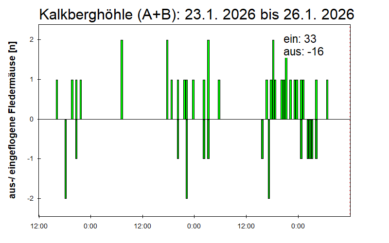 [Fledermaus] Lichtschranke: Segeberger Kalkberg (NABU Schleswig-Holstein)