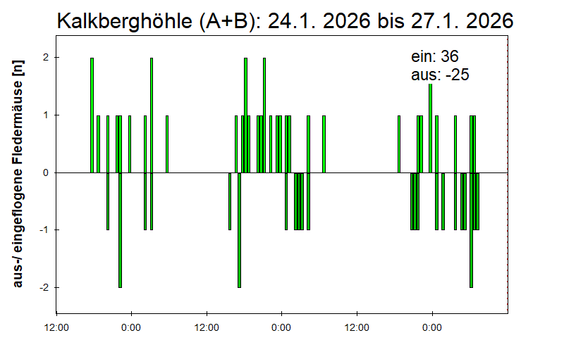 [Fledermaus] Lichtschranke: Segeberger Kalkberg (NABU Schleswig-Holstein)