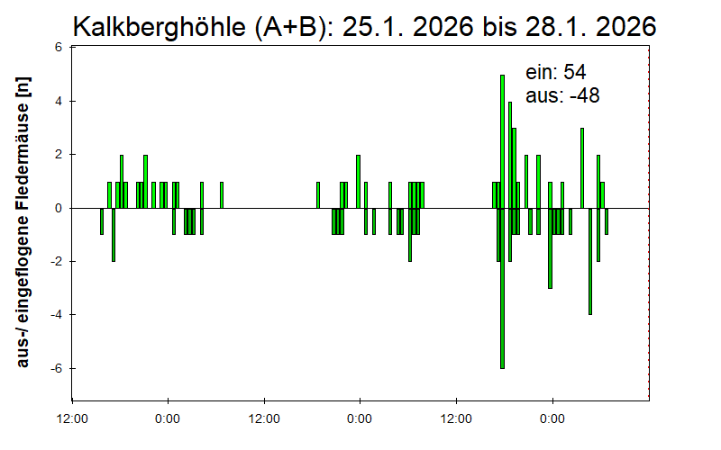 [Fledermaus] Lichtschranke: Segeberger Kalkberg (NABU Schleswig-Holstein)