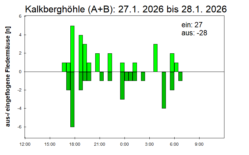 [Fledermaus] Lichtschranke: Segeberger Kalkberg (NABU Schleswig-Holstein)