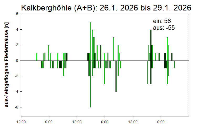 [Fledermaus] Lichtschranke: Segeberger Kalkberg (NABU Schleswig-Holstein)
